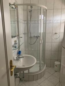 バート・ハルツブルクにあるFerienwohnung Hintzeのバスルーム(シャワー、シンク付)