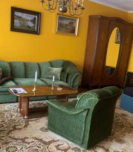 バート・ハルツブルクにあるFerienwohnung Hintzeのリビングルーム(緑のソファ、テーブル付)