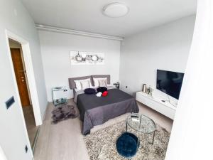 Afbeelding uit fotogalerij van Apartment Apex penthouse self check-in in Karlovac