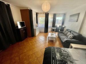 TV a/nebo společenská místnost v ubytování Spacieuse chambre privée 25m2 en colocation avec 4 autres personnes dans un appartement 94m2 à vaulx en velin centre