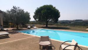 a large swimming pool with chairs and a tree at Domaine de Cayre in Mervilla