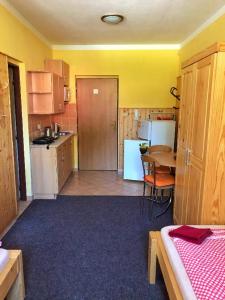 Apartmány U Švýcarského dvora tesisinde mutfak veya mini mutfak