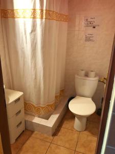 La salle de bains est pourvue de toilettes et d'un rideau de douche. dans l'établissement Apartmány U Švýcarského dvora, à Janské Lázně