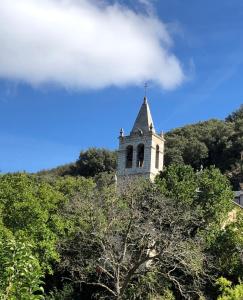 Príroda v okolí of the country house