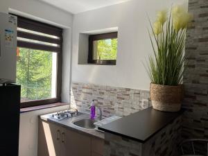 a kitchen with a sink and a counter top at Sorica Studio - near the ski slopes in Azuga
