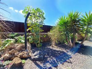 A garden outside Private villa with pool in Lajares