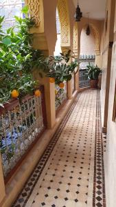un corridoio vuoto con arance e piante in un edificio di Riad Les Chrifis Navette Aéroport 24 sur 24 a Fes