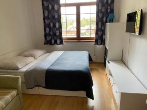 TV a/nebo společenská místnost v ubytování Apartmánový dom Kamzík