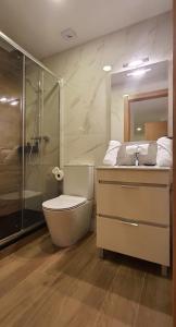 a bathroom with a shower and a toilet and a sink at APARTAMENTO FRANJA 50 Gastromaar in A Coruña