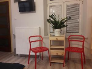 TV a/nebo společenská místnost v ubytování Kraków Chilli Hostel