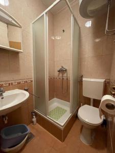 Koupelna v ubytování Apartmani Dragica