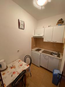 Kuchyň nebo kuchyňský kout v ubytování Apartmani Dragica