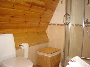 a bathroom with a toilet and a glass shower at Viesu Nams Mežu 13 in Ventspils +19 photos