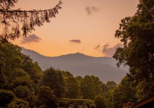 a view of the mountains from the forest at sunset at Mount Mitchell Eco Retreat in Busick