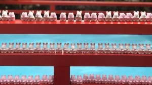 a shelf filled with pink and white toothbrushes at Kyoto Inn Gion The Second in Kyoto