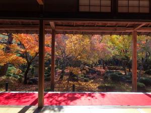 Gallery image of Kyoto Inn Gion The Second in Kyoto