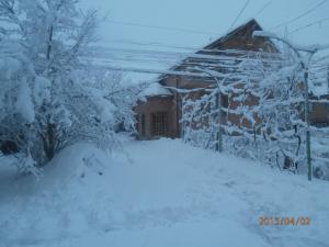 ein schneebedecktes Haus mit Bäumen davor in der Unterkunft Karpatskiy Domik Izki in Izky