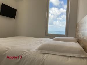 Appartements résidence Harmonie vue mer في بورتيكيو: غرفة نوم مع سرير وإطلالة على المحيط