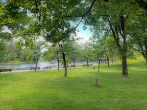 a park with benches and trees next to a river at HOTEL AMANEK Asahikawa in Asahikawa