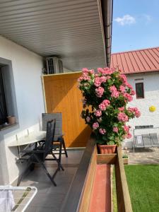 Balkón nebo terasa v ubytování Gästehaus und Weinbau Zur Wiederkehr Strudler