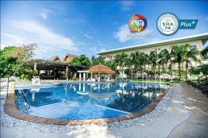 una piscina en el complejo flamenco de Filipinas en Blue Beach Grand Resort And Spa SHA Plus en Rawai Beach