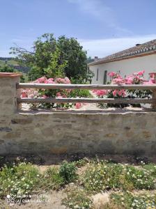 A garden outside cortijo la laguna