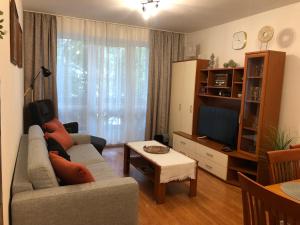 - un salon avec un canapé et une télévision dans l'établissement Apartment Olivia, à Donovaly