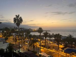 Elle offre une vue sur une ville bordée de palmiers et l'océan. dans l'établissement La Perla, à Puerto de la Cruz