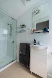 uma casa de banho com um chuveiro, um lavatório e um espelho. em Soul Vie Stay em Launceston