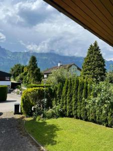 a garden with bushes and a house in the background at Luxury House with big garden and mountain view ( 3 bedrooms) in Haag