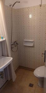 uma casa de banho com um chuveiro, um lavatório e um WC. em Argonaftis Spetses em Spetses