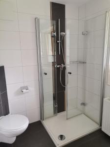 a bathroom with a shower, toilet, and sink at Landgasthof Steiner in Matrei in Osttirol