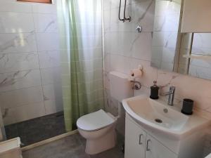 bagno con servizi igienici e lavandino di Apartment Neretva a Čapljina