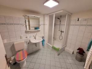 a bathroom with a toilet and a shower and a sink at Fewo Moin Moin in Groß Petershagen