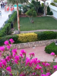 Vonkajšia záhrada v ubytovaní Playa Marbella