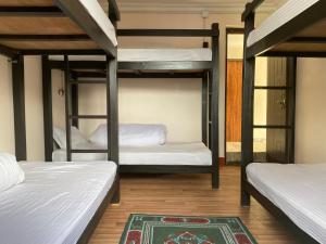 Cama ou camas em um quarto em Birds Nest Hostel