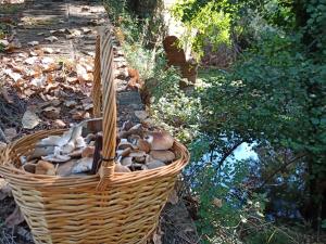 A garden outside Casa Monte Los Peñasquitos