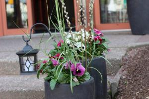 Vrt pred nastanitvijo Hotell Fridhemsgatan
