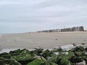 Photo de la galerie de l'établissement Résidence Jersey (app. 201), à Coxyde