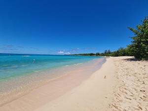 une plage de sable avec des arbres et l'océan dans l'établissement Gites Kaladja, à Port-Louis