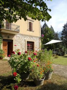 una casa con tres macetas de flores delante de ella en B&B La Giara di Assisi, en Asís