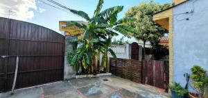 a palm tree in front of a wooden fence at GirasolesV in Sanlúcar de Barrameda