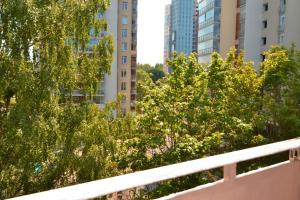 a group of trees in a city with tall buildings at Imanta Apartment Riga 2х Rooms 52м2 in Rīga