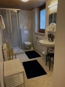 a bathroom with a shower and a sink and a toilet at Ferienwohnung Schweng in Tux
