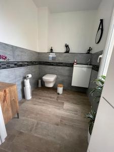 a bathroom with a toilet and a sink at Escapade de Vauclair in Bouconville-Vauclair