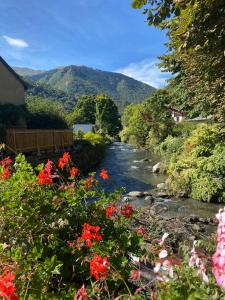 ein Fluss mit Blumen im Vordergrund und Berge im Hintergrund in der Unterkunft Studio au coeur de la Station de Ski in Saint-Aventin