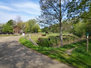 Un camino con vacas en un campo al lado de una valla en Elferink Hoeve, en Woudenberg