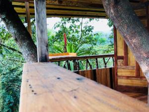 Galeriebild der Unterkunft Eden Treehouse in Mindo + 108 Fotos