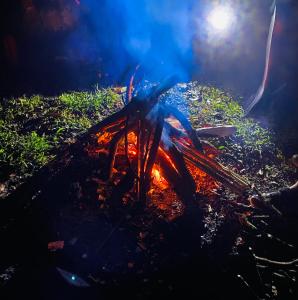 Galeriebild der Unterkunft Eden Treehouse in Mindo