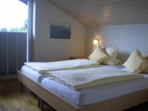 松托芬的住宿－Widderstein Sonthofen，一间卧室设有两张床和大窗户
